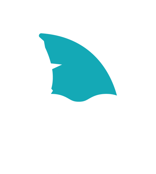 Ferte Diving Mallorca